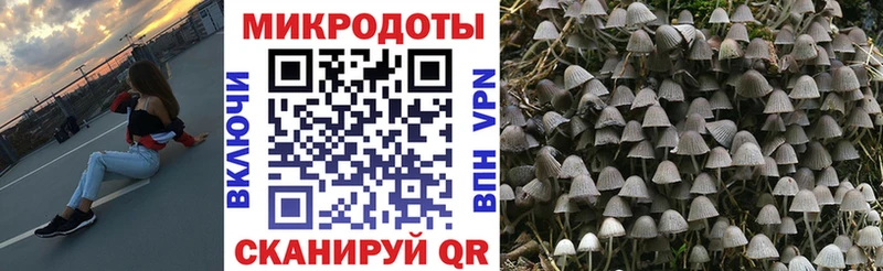 Купить  Краснокамск  Галлюциногенные грибы GOLDEN TEACHER 